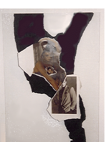 collageiv.gif (97519 bytes)